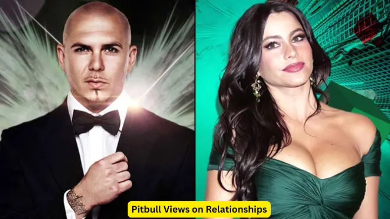 Pitbull Views on Relationships