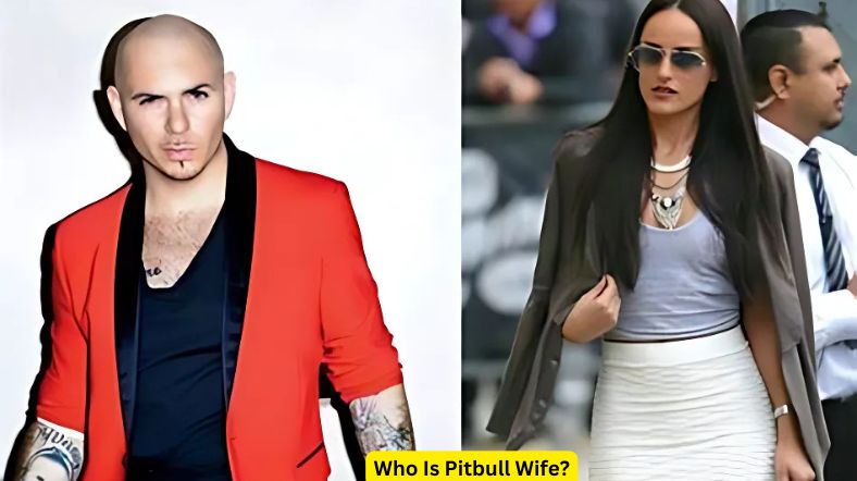 Who Is Pitbull Wife